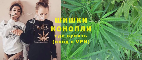 сатива Абинск