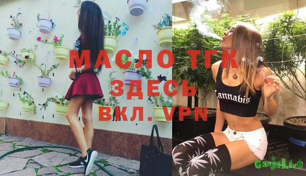 сатива Абинск